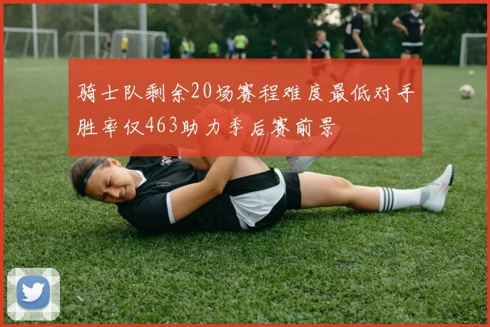 骑士队剩余20场赛程难度最低对手胜率仅463助力季后赛前景